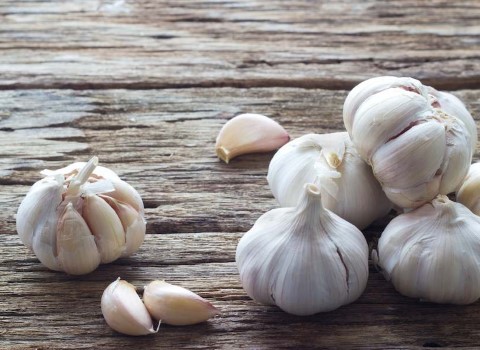 تصویر 4 از خرید و قیمت سیر درجه یک همدان + فروش صادراتی